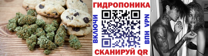 купить наркотики сайты  Миллерово  МЕГА вход  Canna-Cookies марихуана 