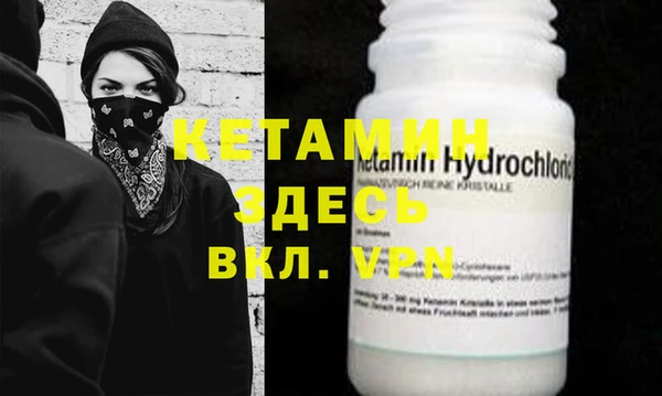 стаф Абаза