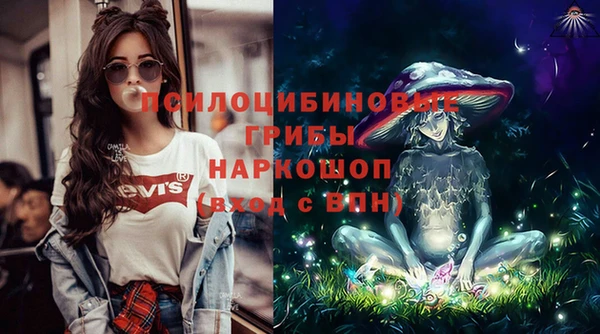 стаф Абаза
